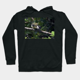 LE PANASONIC FZ 200 PAR OKAIO CRÉATION Hoodie